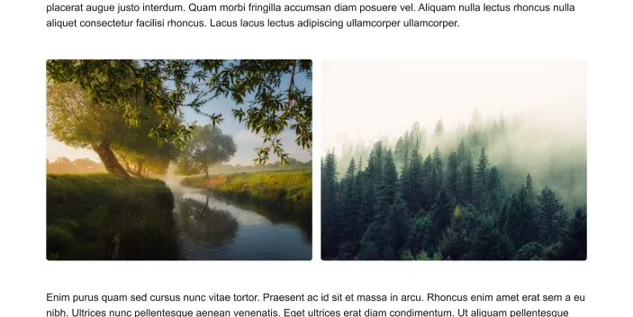 responsive gallery block